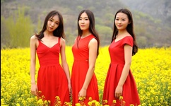 无人区码一码二码三码医生系列